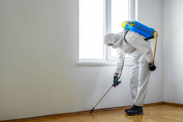 Best Pest Control for Hotels  in Oberlin, KS